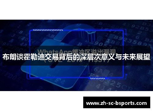 布朗谈霍勒迪交易背后的深层次意义与未来展望