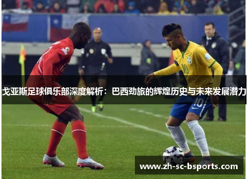 戈亚斯足球俱乐部深度解析：巴西劲旅的辉煌历史与未来发展潜力