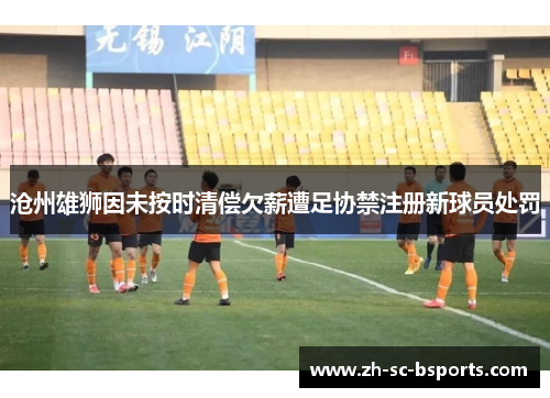 沧州雄狮因未按时清偿欠薪遭足协禁注册新球员处罚