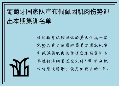 葡萄牙国家队宣布佩佩因肌肉伤势退出本期集训名单